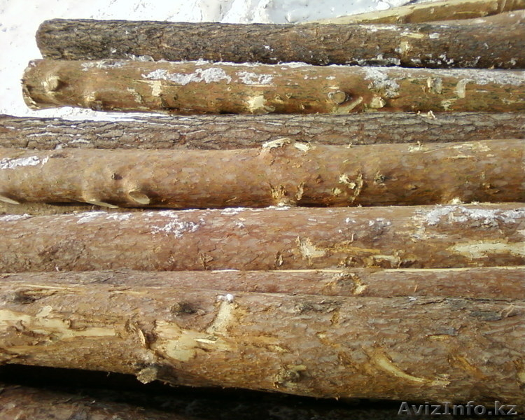 лесоматериалы и строиматериалы - Изображение #2, Объявление #851820