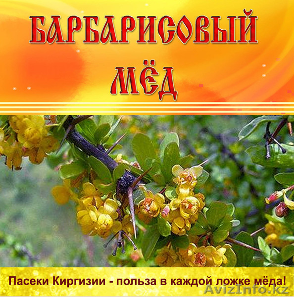 Кыргзстан, г. Токмок, Вячеслав, т.: +996 550144364, e-mail: zionis@ktnet.kg - Изображение #9, Объявление #875325