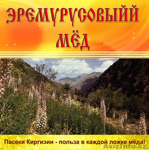 Кыргзстан, г. Токмок, Вячеслав, т.: +996 550144364, e-mail: zionis@ktnet.kg - Изображение #3, Объявление #875325