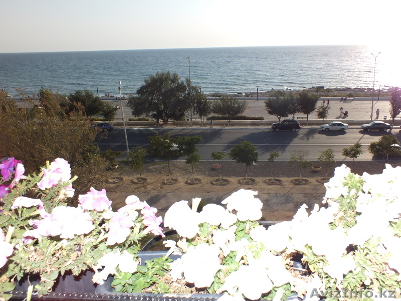 Сдается посуточно квартира-люкс на берегу моря - Изображение #3, Объявление #996488