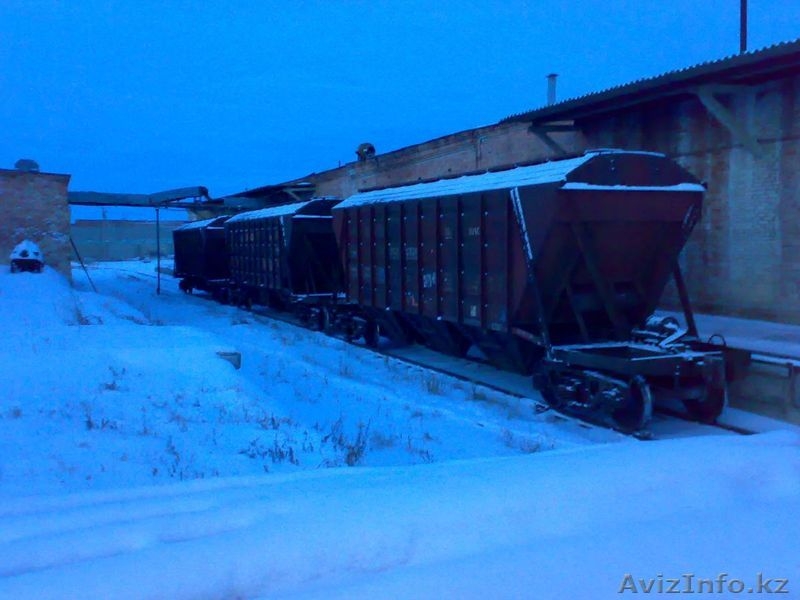 Пшеница, ячмень. - Изображение #1, Объявление #1031481