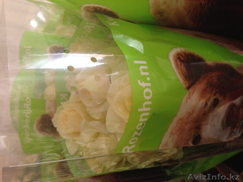 Белые розы из Голландии - Изображение #4, Объявление #1035800