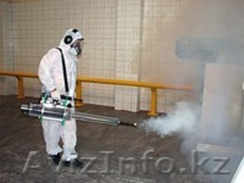 уничтожение клопов, термитов в Актау - Изображение #2, Объявление #1101210