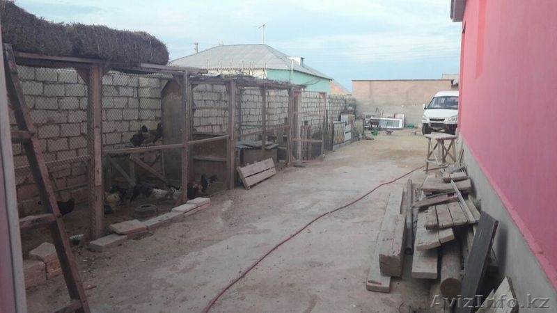 Дом с магазином и живностью  - Изображение #1, Объявление #1465760