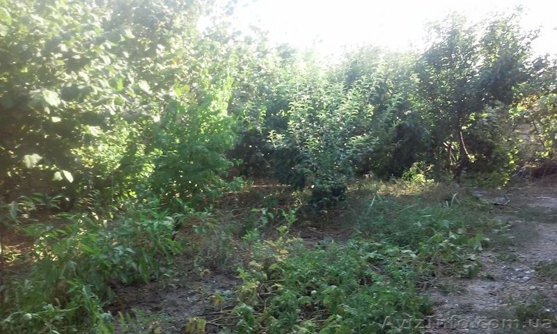 срочно продам дом в республике азербайджан - Изображение #5, Объявление #1511569