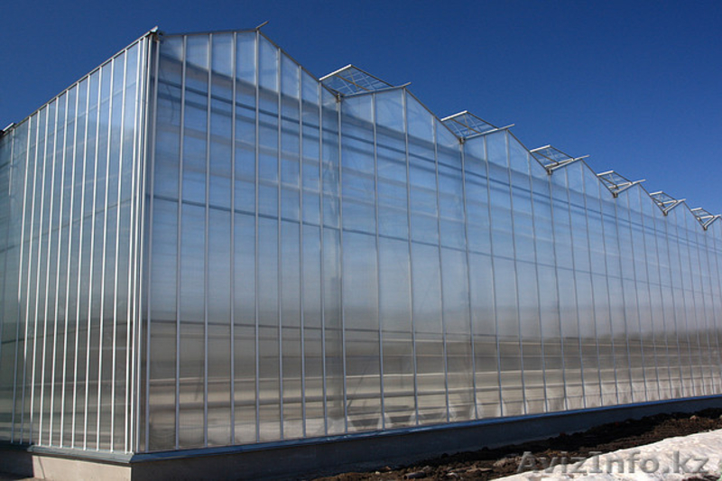 производство и строительство теплиц - Изображение #3, Объявление #1536362