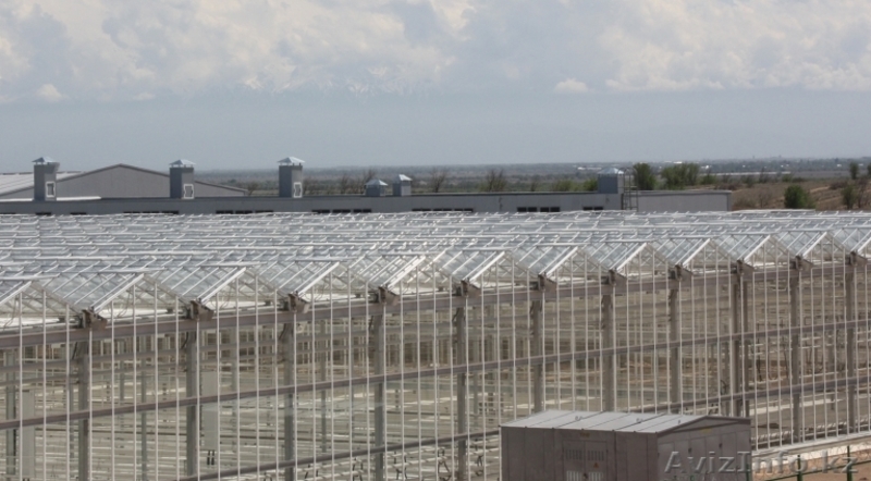 производство и строительство теплиц - Изображение #4, Объявление #1536362