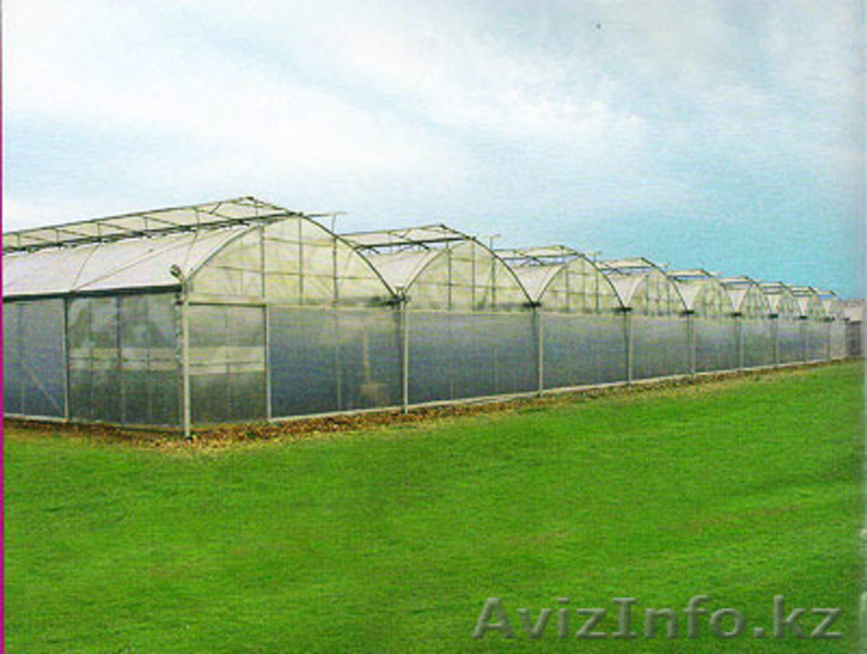 производство и строительство теплиц - Изображение #1, Объявление #1536362