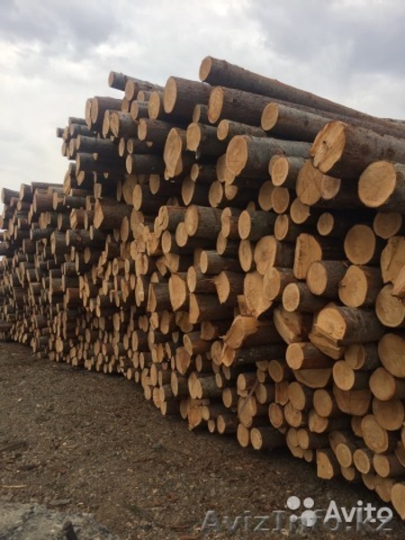 Необрезная доска. Брус. Лафет - Изображение #3, Объявление #1610305