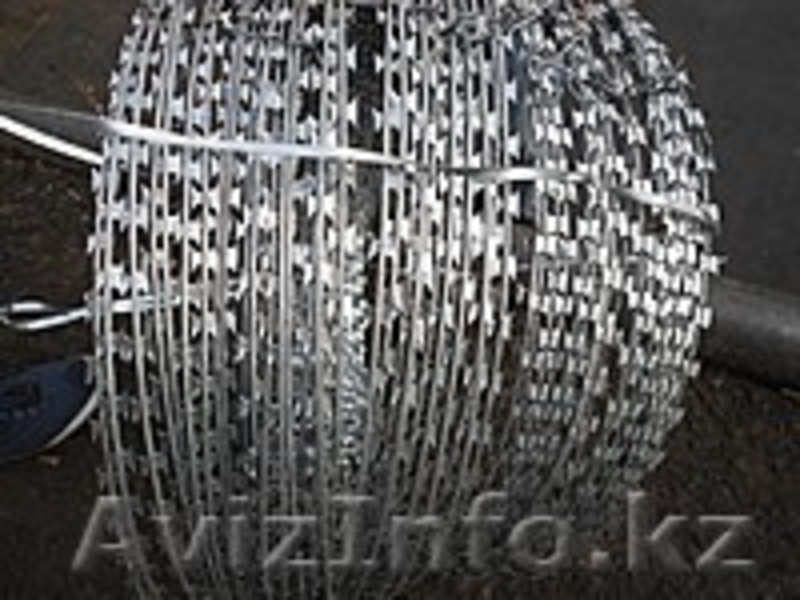 Егоза - защитный барьер - Изображение #1, Объявление #1633337