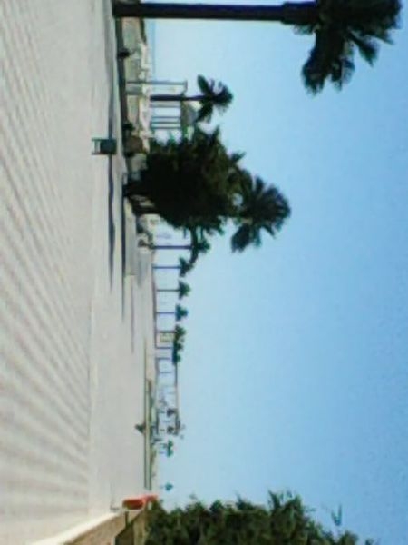 Набережная, море, курить запрещено, евроремонт - Изображение #3, Объявление #1661427