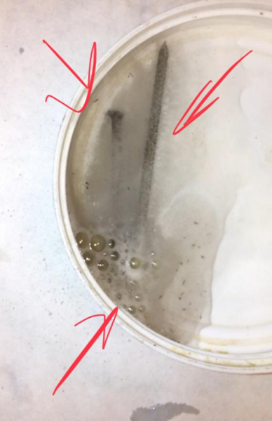 caluanie muelear oxidize - Изображение #2, Объявление #1669170