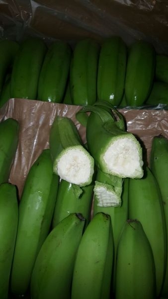 Свежий банан оптом. - Изображение #3, Объявление #715020