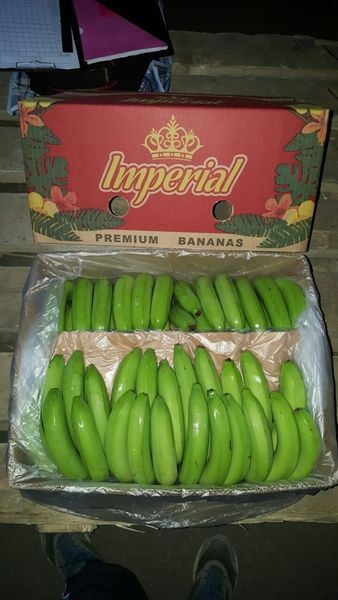 Свежий банан оптом. - Изображение #4, Объявление #715020